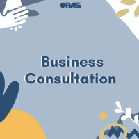 Business consultation